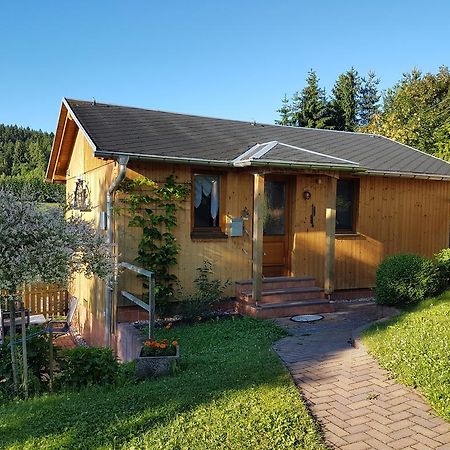 Villa Haus Talsperreneck Stutzengrun Esterno foto